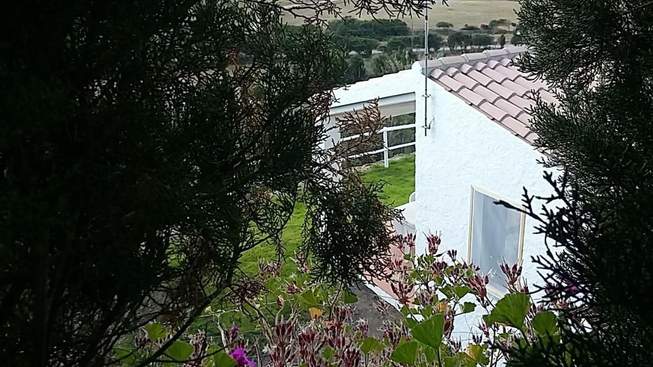 圣特雷莎加卢拉 Agriturismo La Valletta酒店 外观 照片