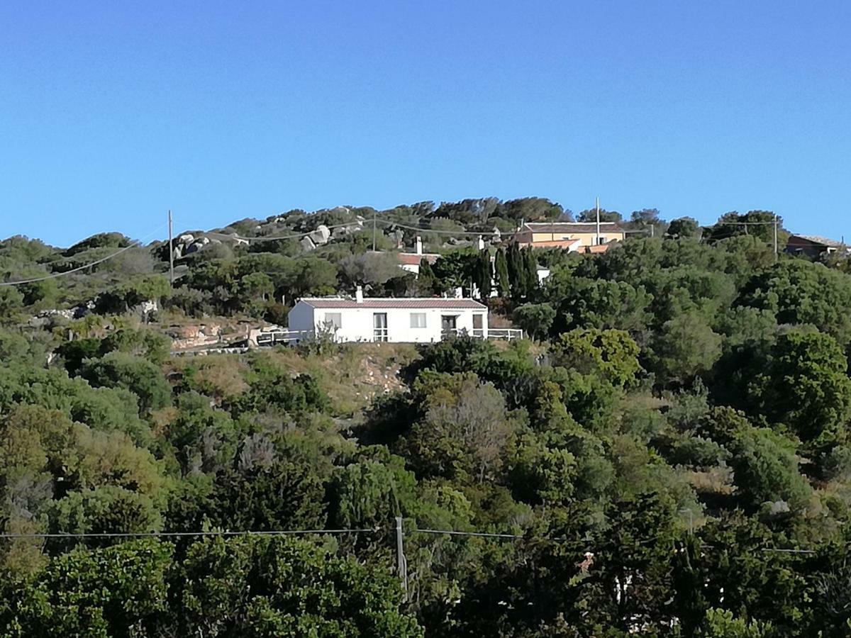 圣特雷莎加卢拉 Agriturismo La Valletta酒店 外观 照片