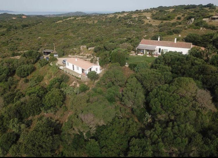 圣特雷莎加卢拉 Agriturismo La Valletta酒店 外观 照片