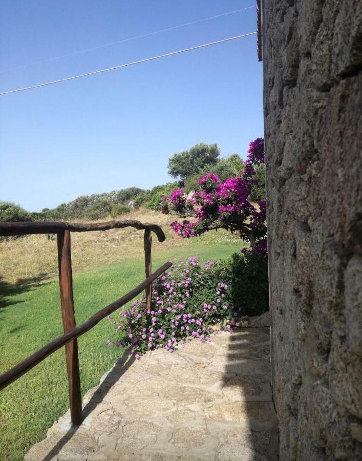 圣特雷莎加卢拉 Agriturismo La Valletta酒店 外观 照片