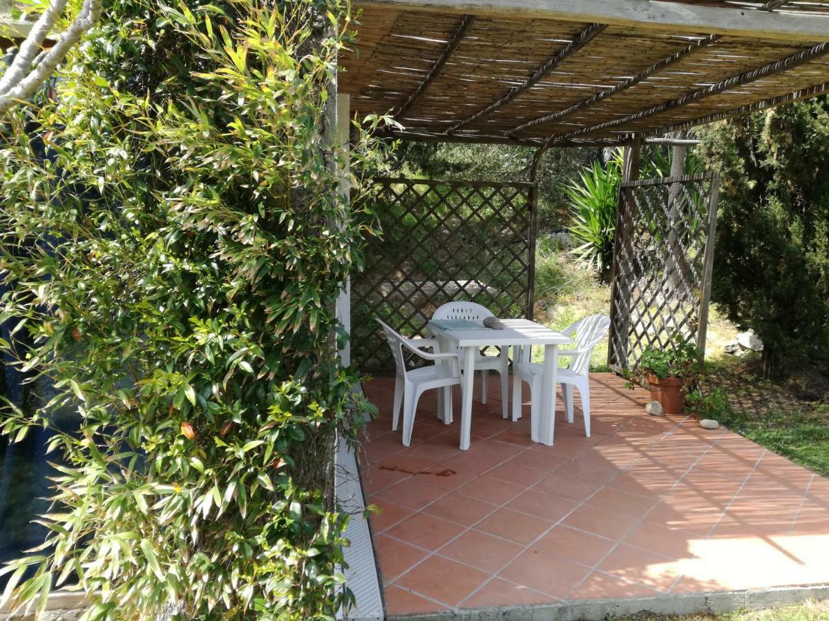 圣特雷莎加卢拉 Agriturismo La Valletta酒店 外观 照片
