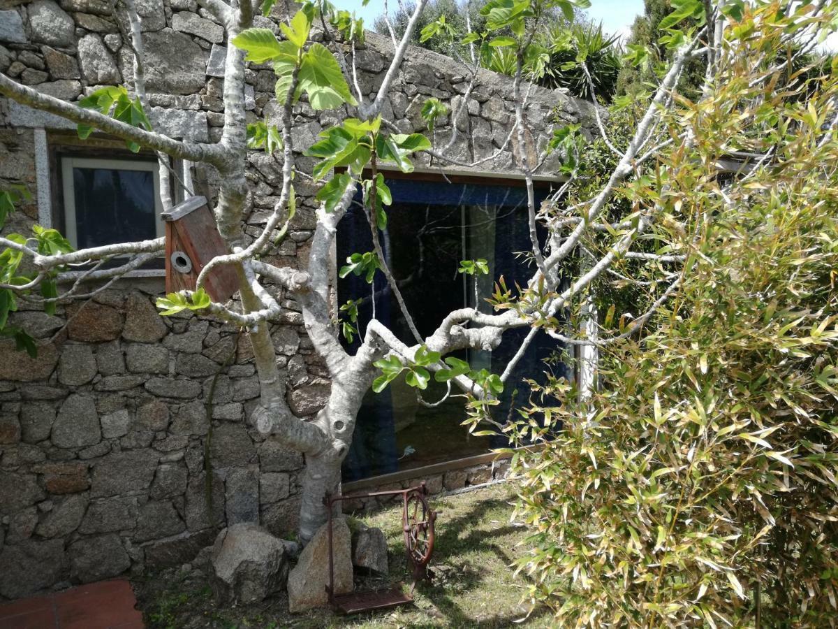 圣特雷莎加卢拉 Agriturismo La Valletta酒店 外观 照片