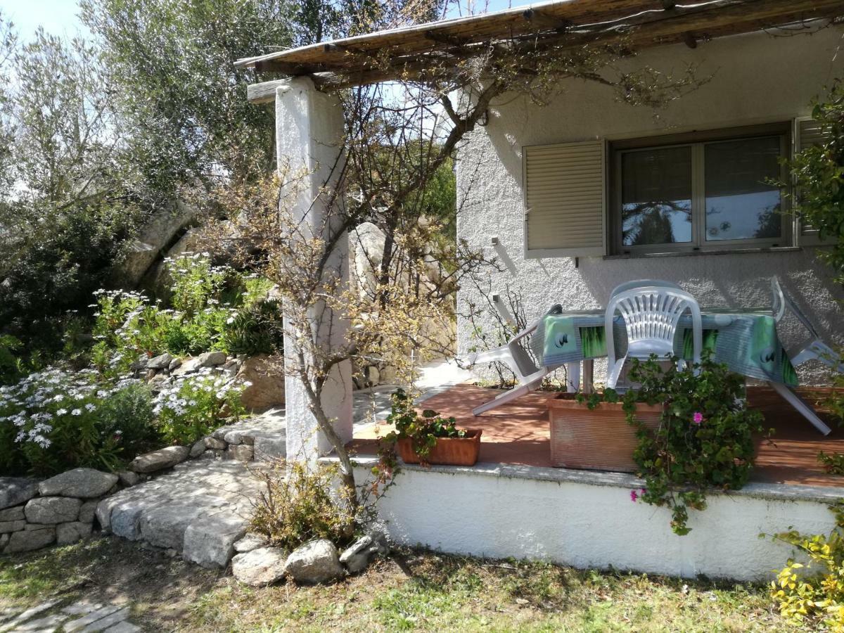 圣特雷莎加卢拉 Agriturismo La Valletta酒店 外观 照片